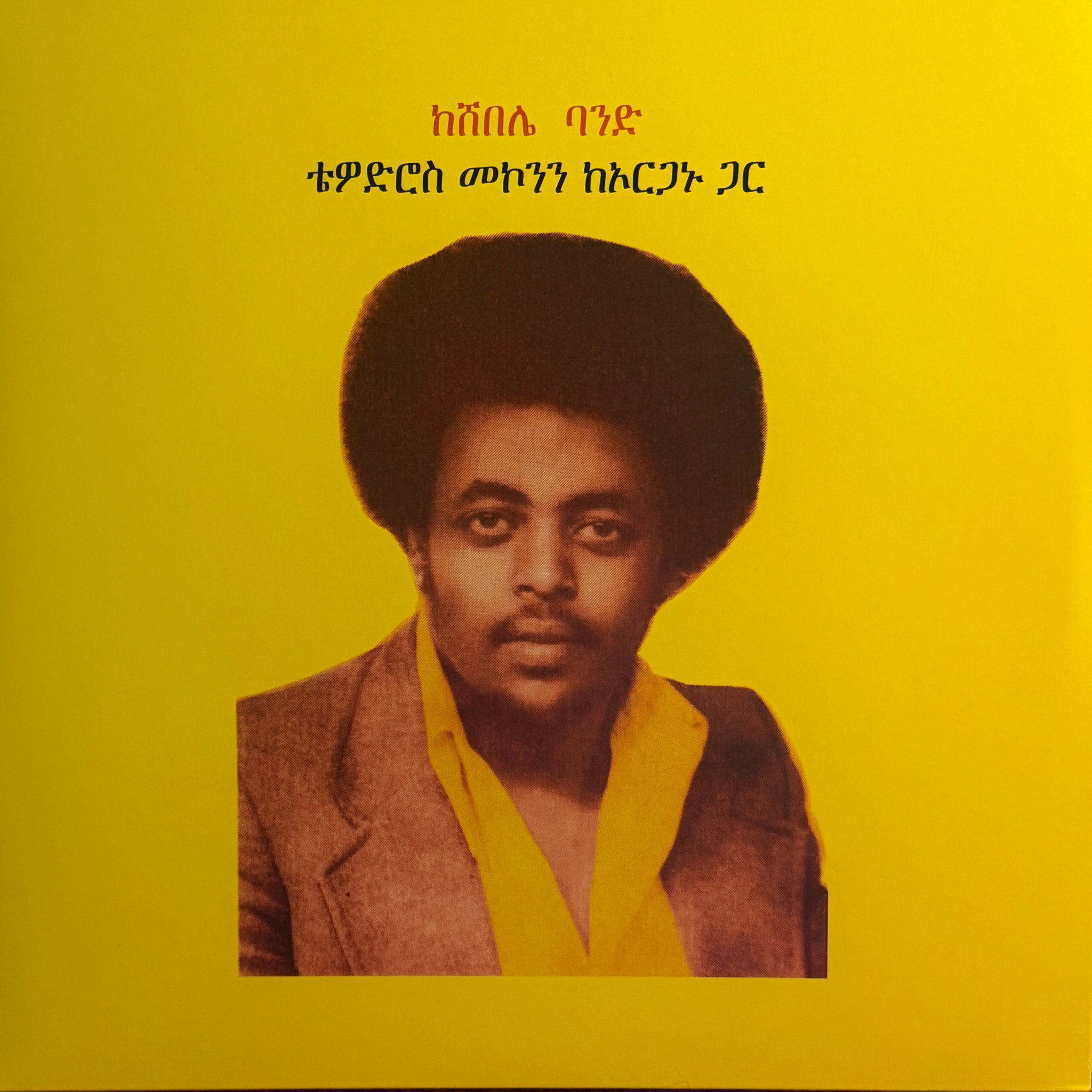 ቴዎድሮስ መኮንን (Teodros Makonnen) – ቴዎድሮስ መኮንን ከኦርጋኑ ጋር (Teodros Makonnen With His Organ)
