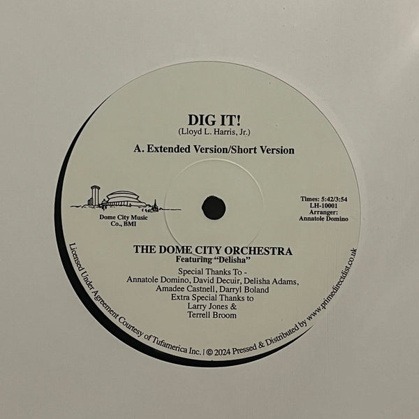 Dome City Orchestra - Dig It!