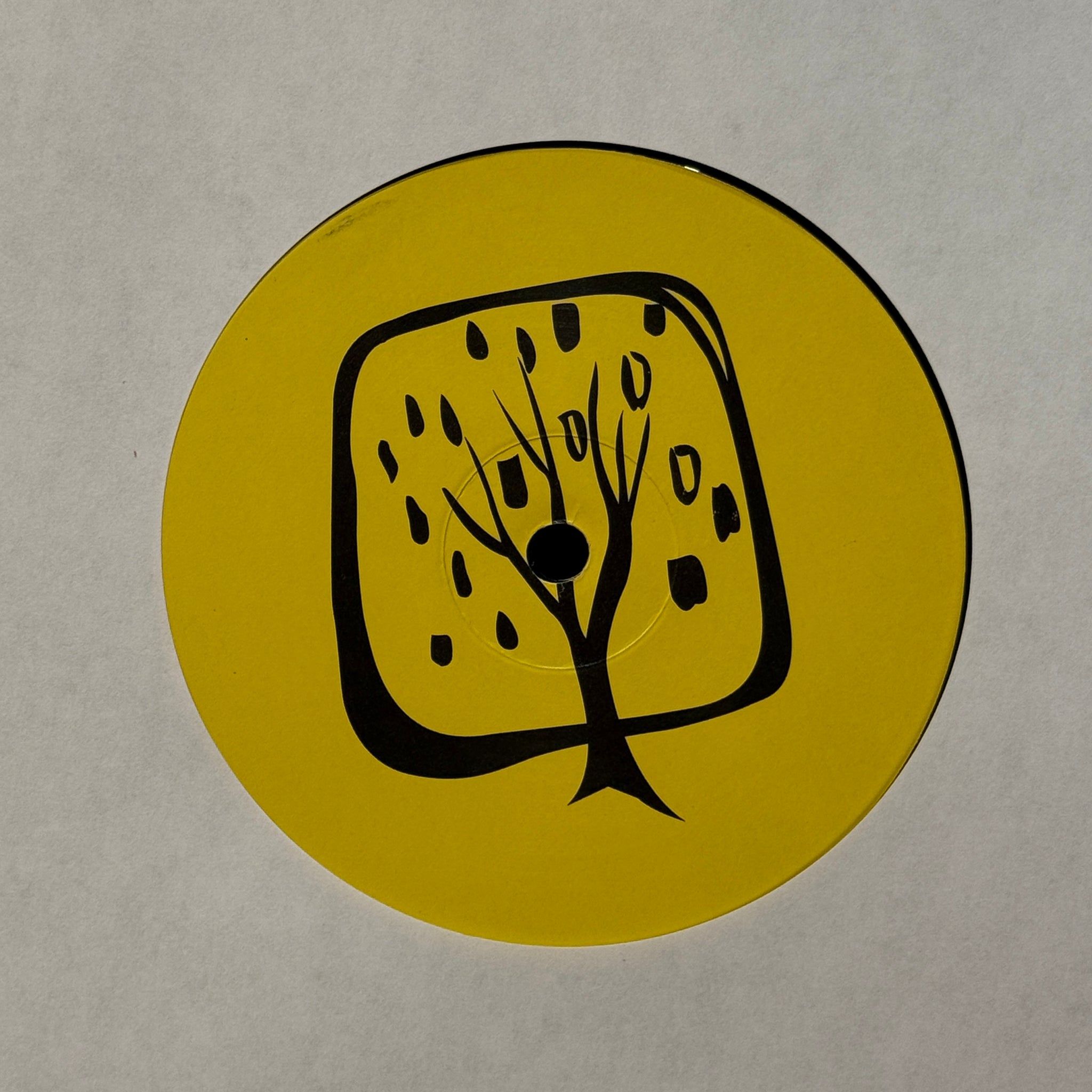 DiY & Joel Zoch – Lemon Drops