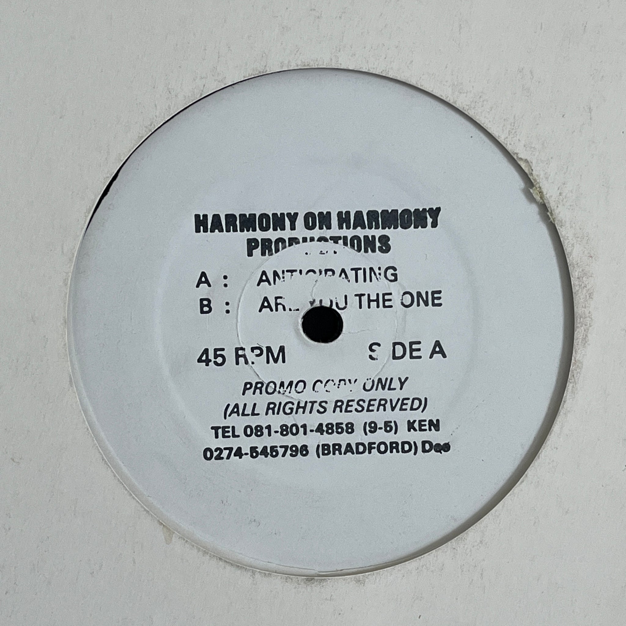 Harmony On Harmony - Anticipating