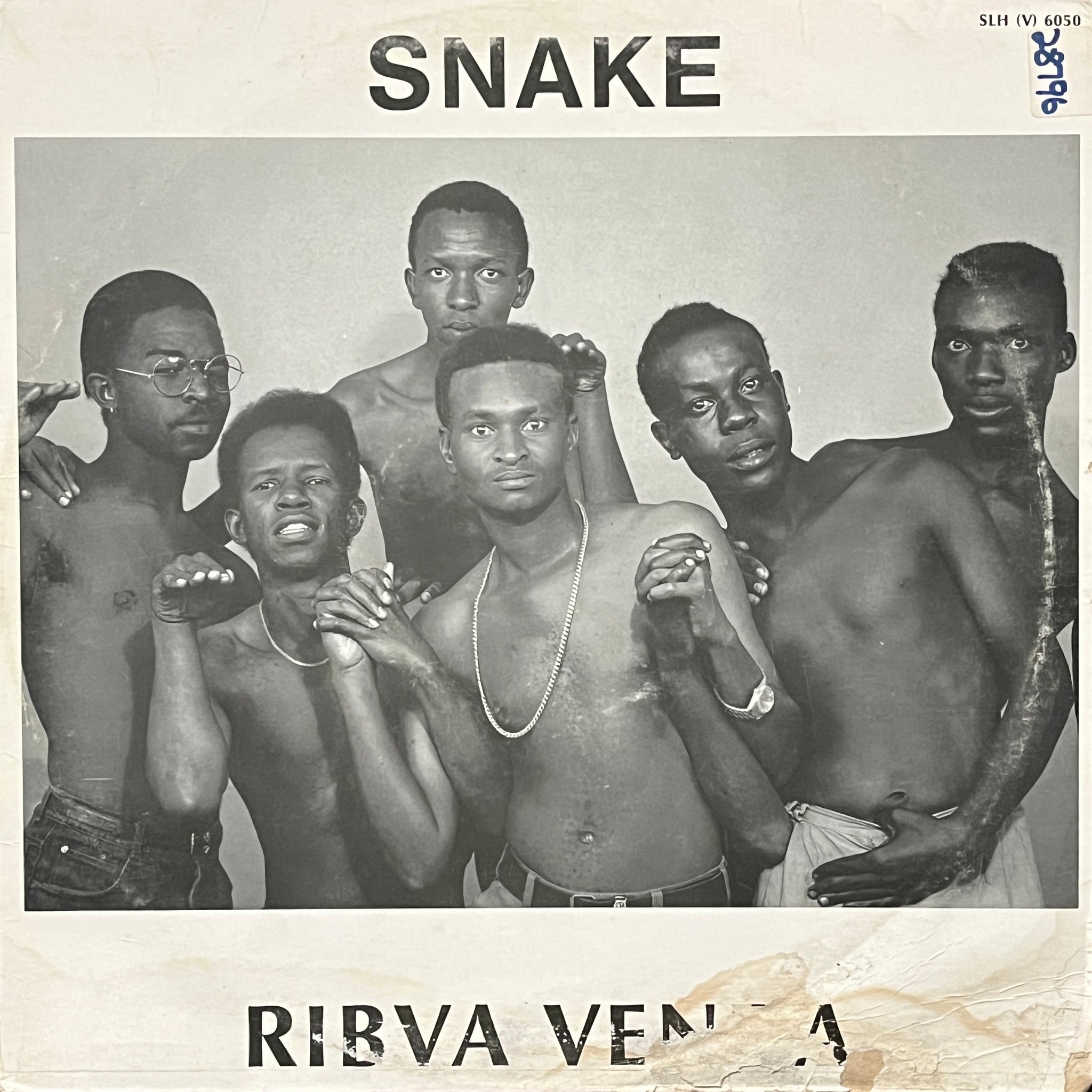 Snake – Ribva Venda
