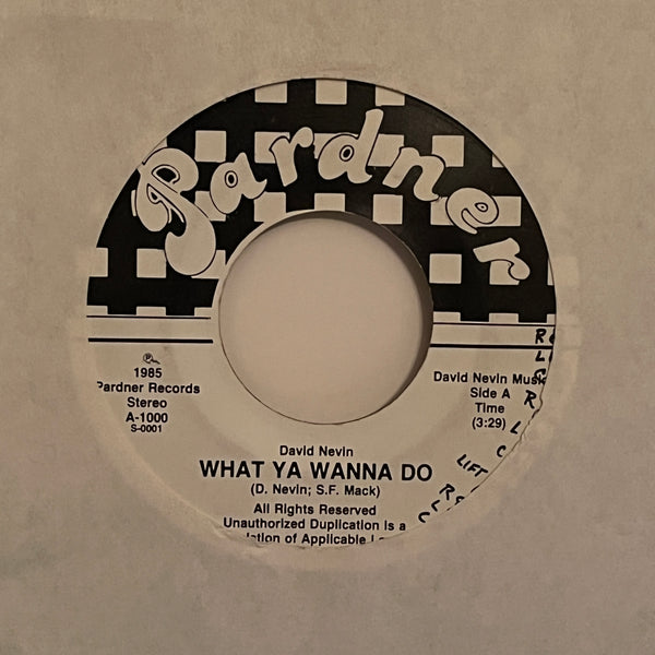 David Nevin – What Ya Wanna Do